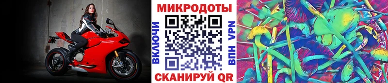 Купить закладки  Гусиноозёрск  Галлюциногенные грибы Psilocybe 
